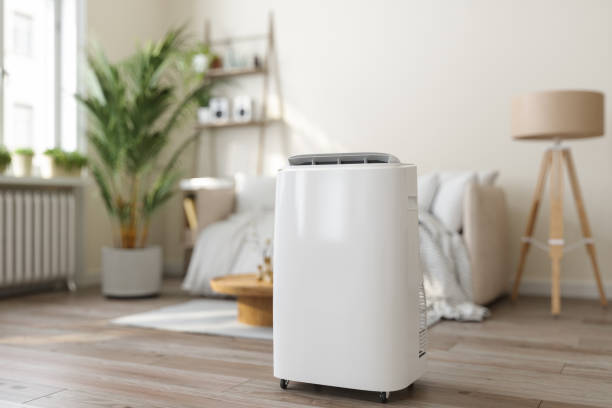 Best Ductless HVAC Repair  in Fruita, CO